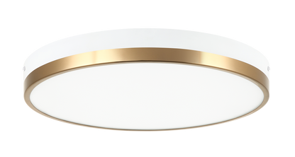 Tone Ceiling Mount