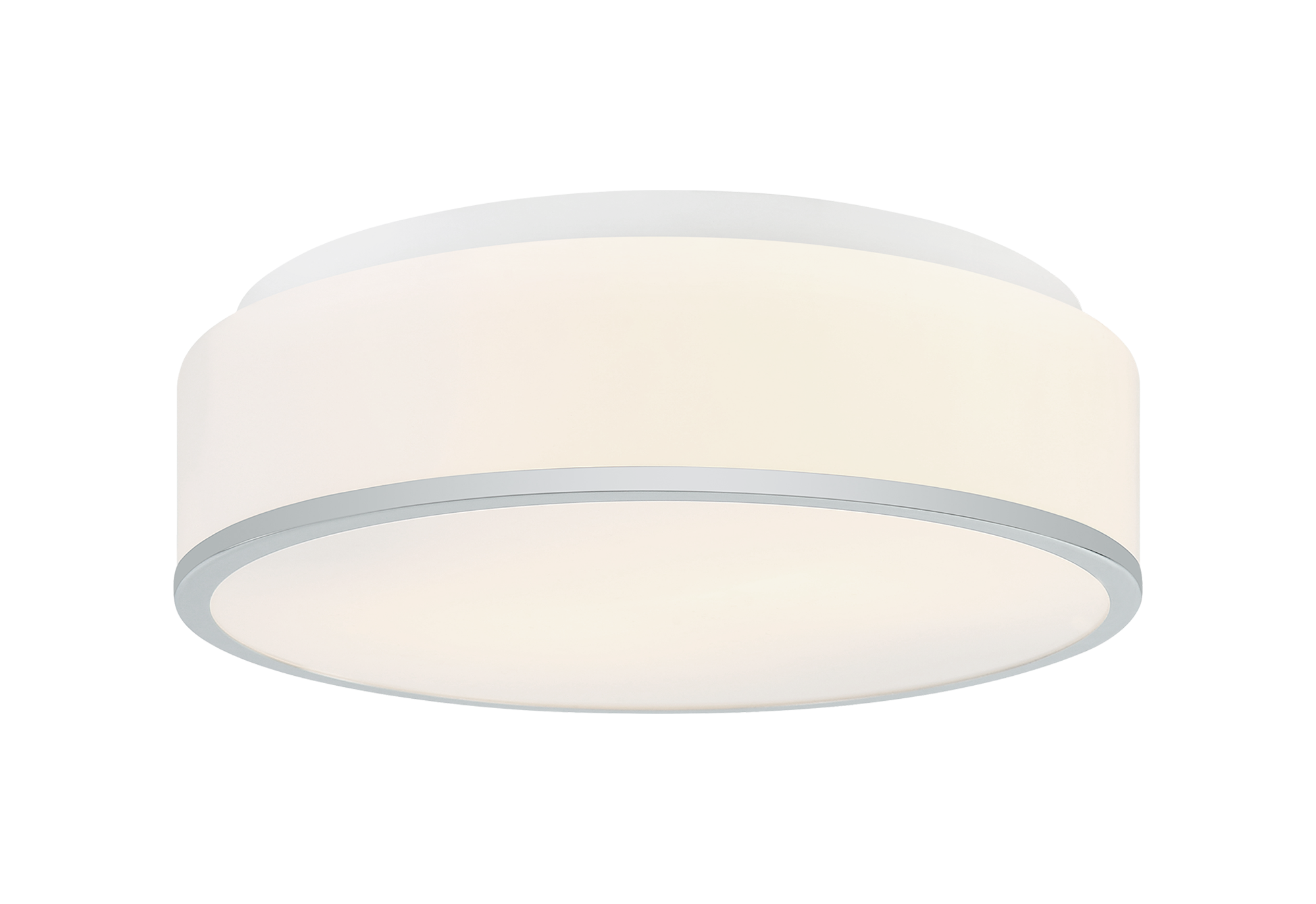Echo Ceiling Mount 2 Light Pendant