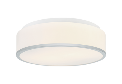 Echo Ceiling Mount 2 Light Pendant