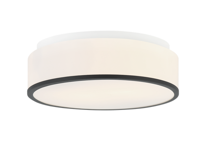 Echo Ceiling Mount 2 Light Pendant