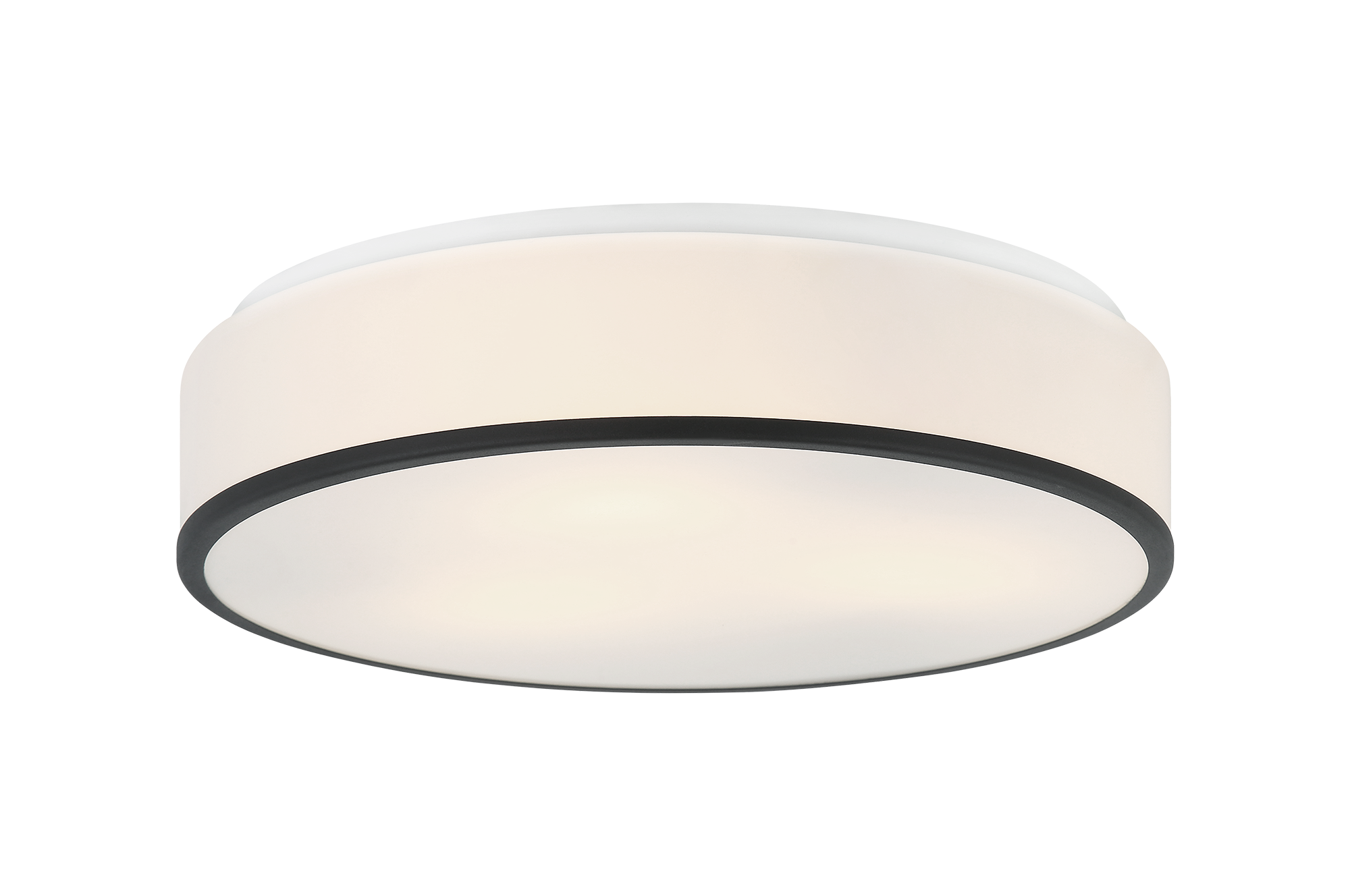 Echo Ceiling Mount 3 Light Pendant