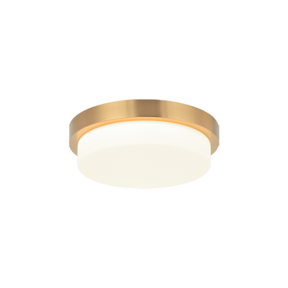 Durham Ceiling Mount