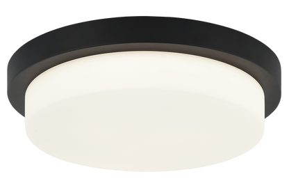 Durham Ceiling Mount