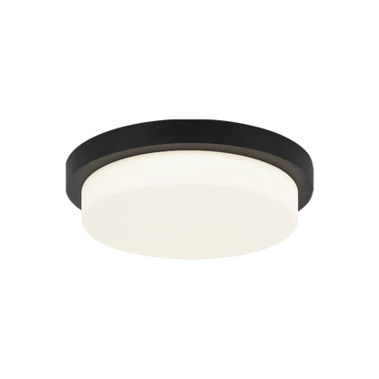 Durham Ceiling Mount