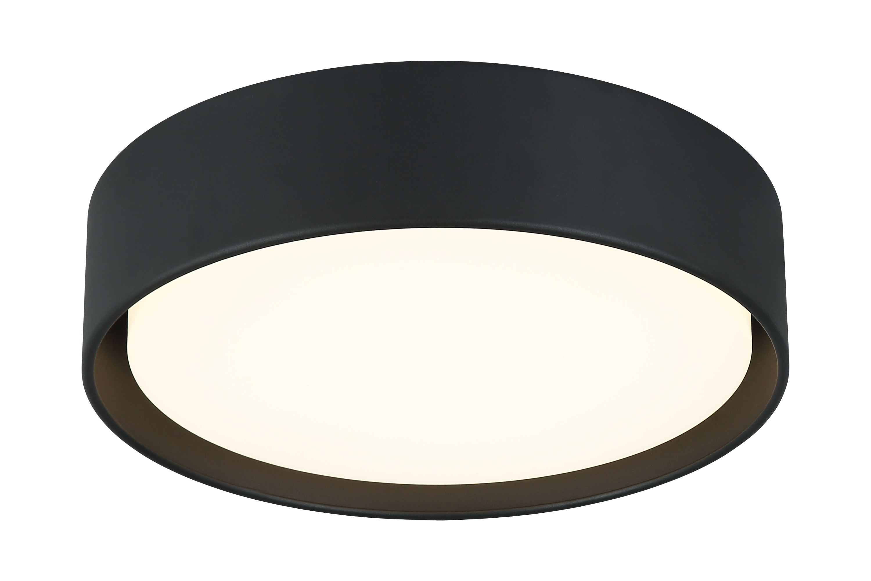 Ezra Ceiling Mount