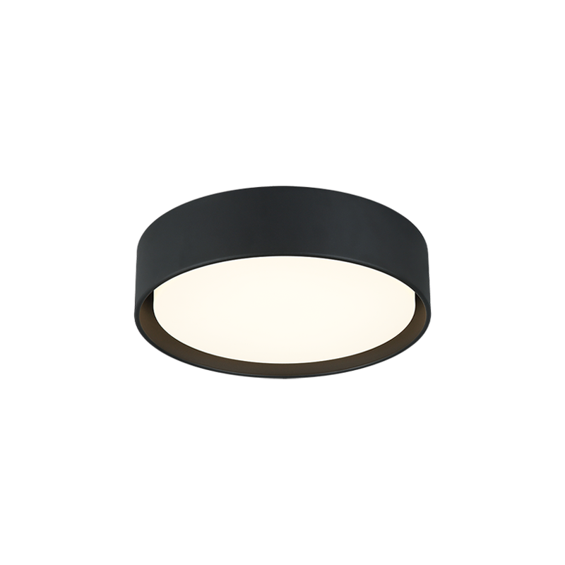 Ezra Ceiling Mount