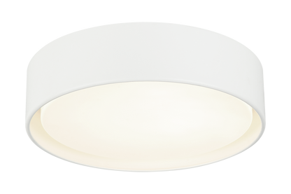 Ezra Ceiling Mount