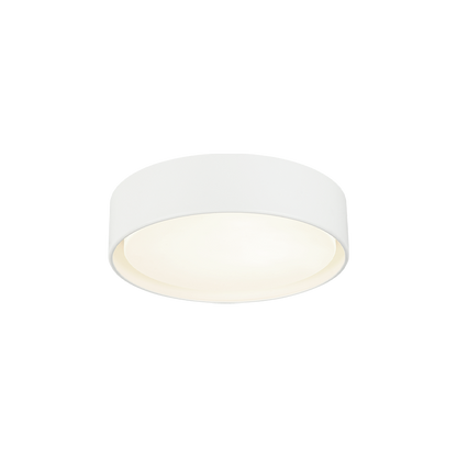 Ezra Ceiling Mount