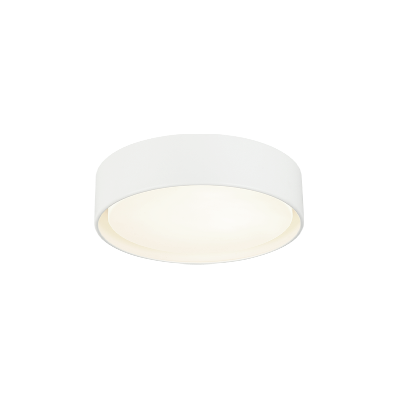 Ezra Ceiling Mount