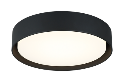 Ezra Ceiling Mount