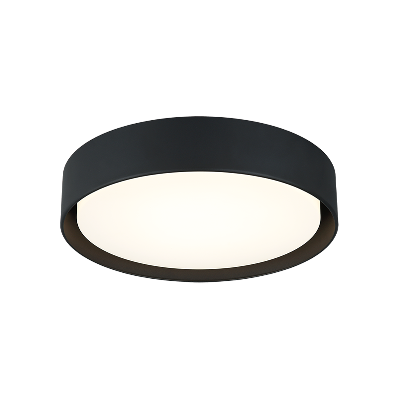 Ezra Ceiling Mount