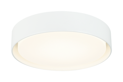 Ezra Ceiling Mount