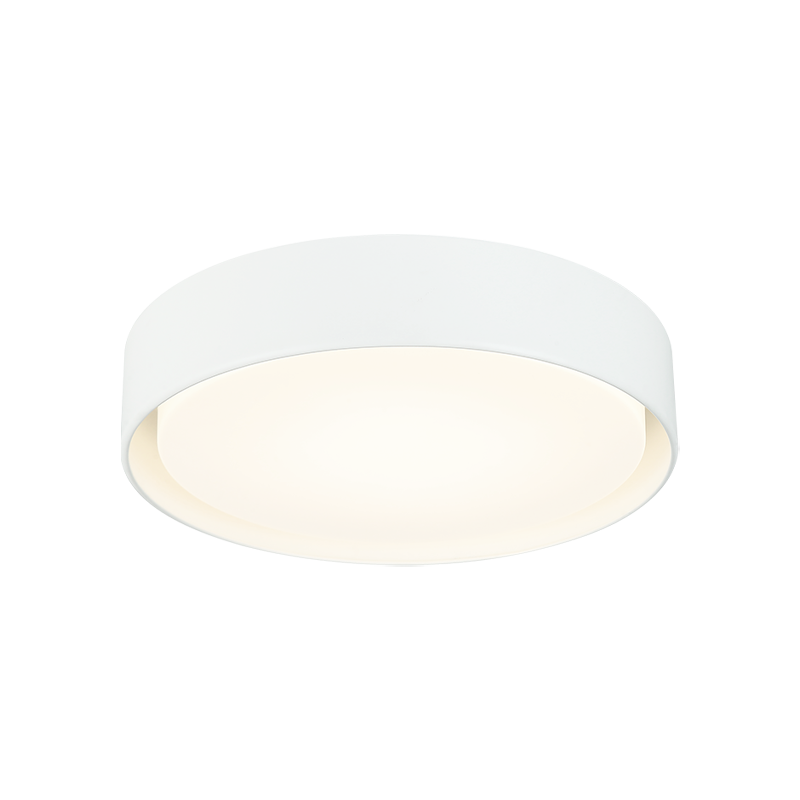 Ezra Ceiling Mount