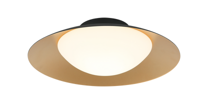 Caravon Ceiling Mount