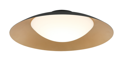 Caravon Ceiling Mount