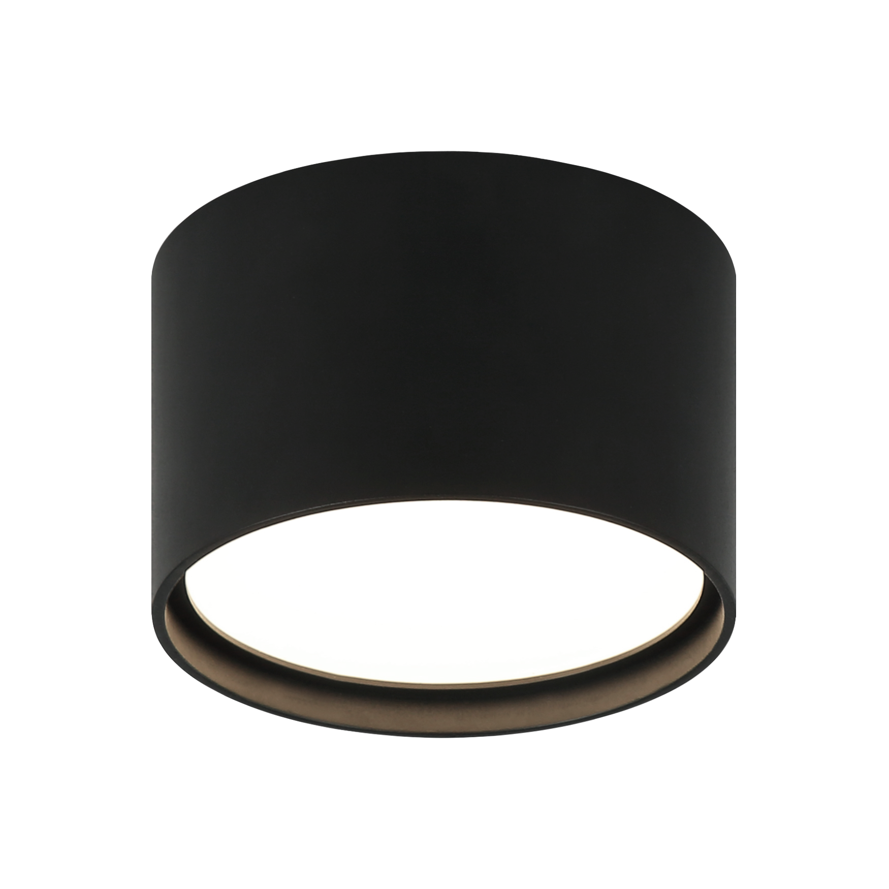Caravon Ceiling Mount