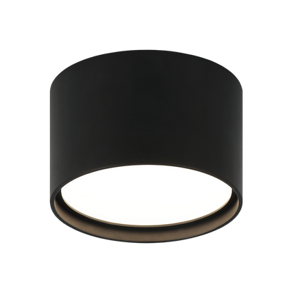 Caravon Ceiling Mount