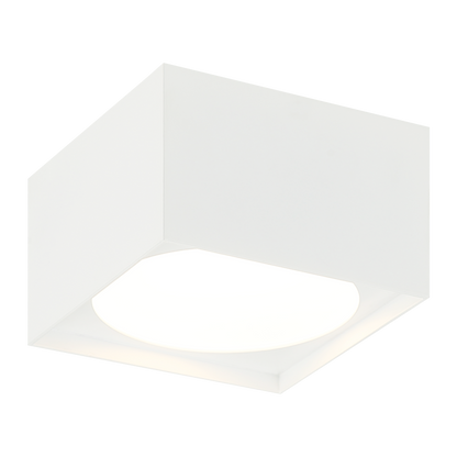 Caravon Ceiling Mount