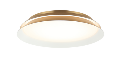 Dahlia Wall Sconce