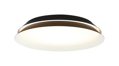 Dahlia Wall Sconce