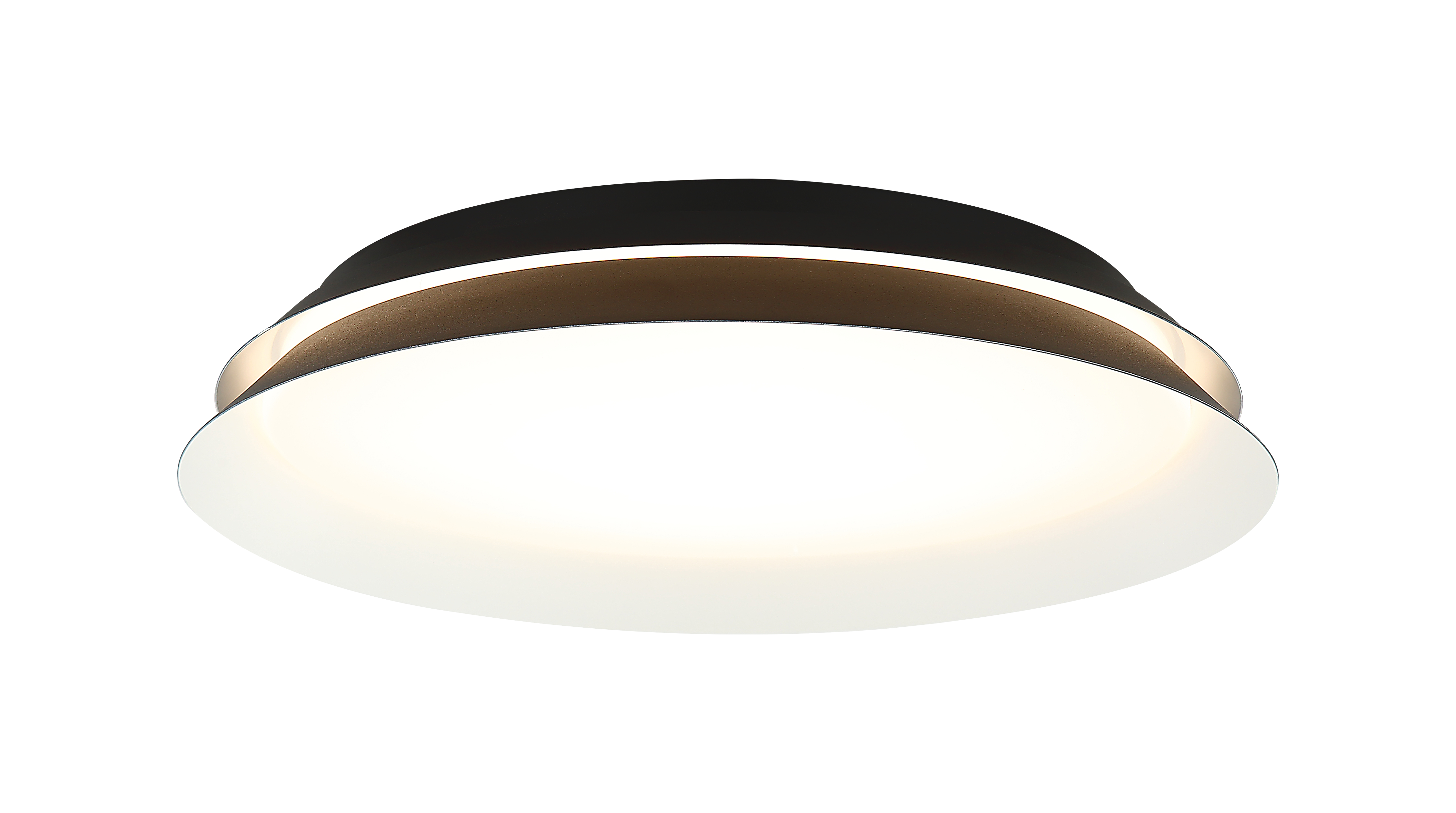 Dahlia Wall Sconce