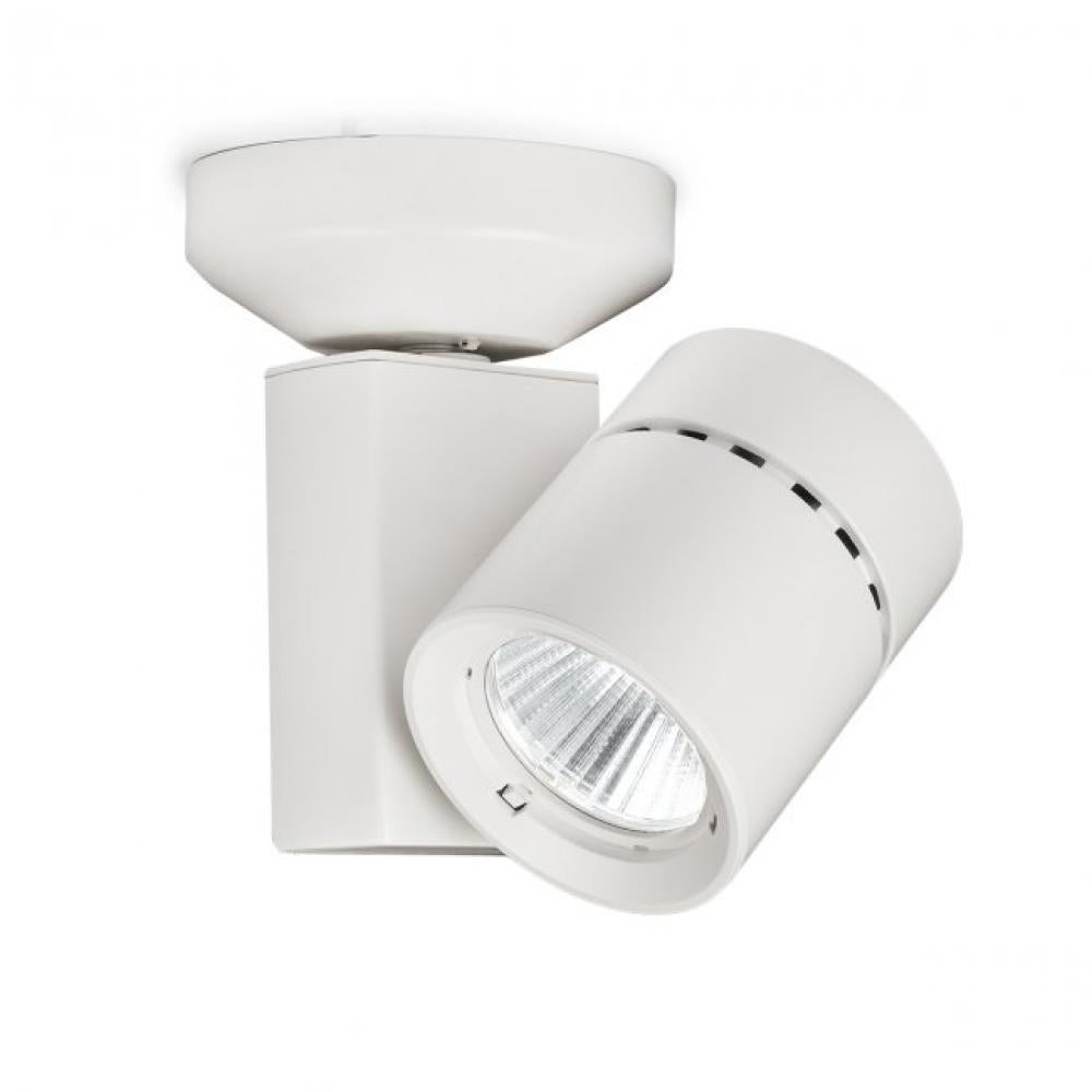 Exterminator Ii- 1035 Spot Light