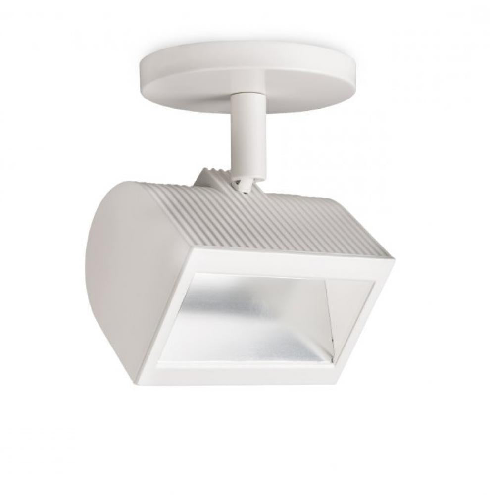 Wall Wash 3020 Flood Light