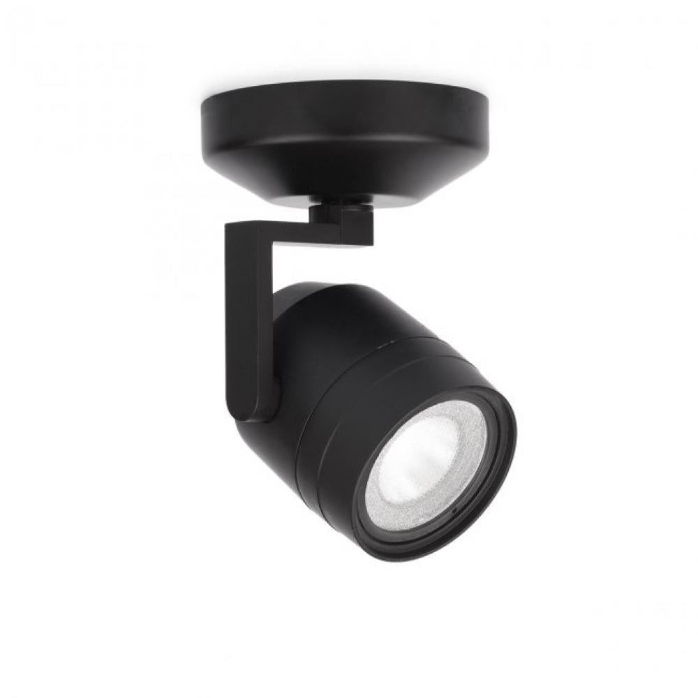 Paloma Spot Light