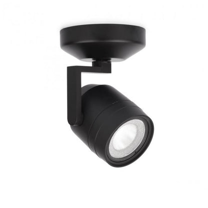 Paloma Spot Light