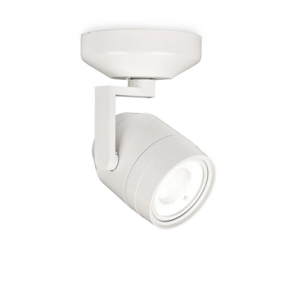 Paloma Spot Light
