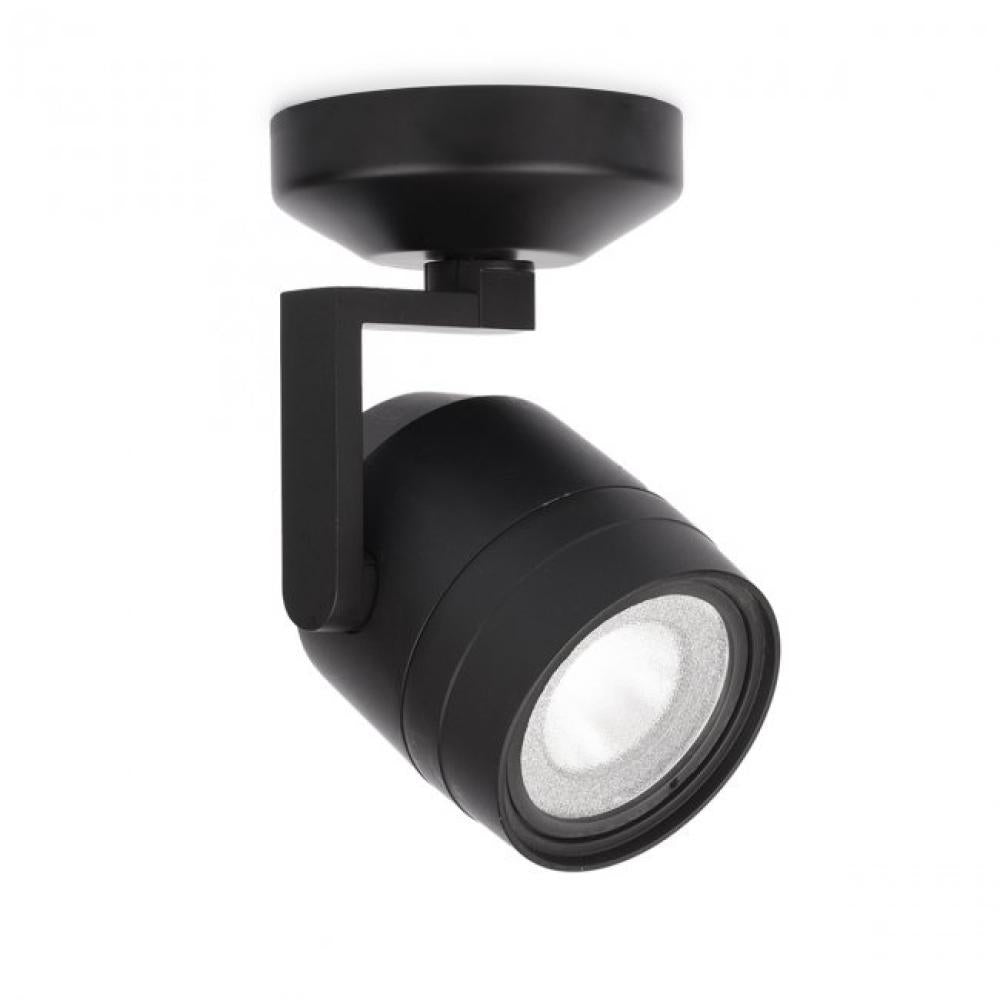 Paloma Spot Light