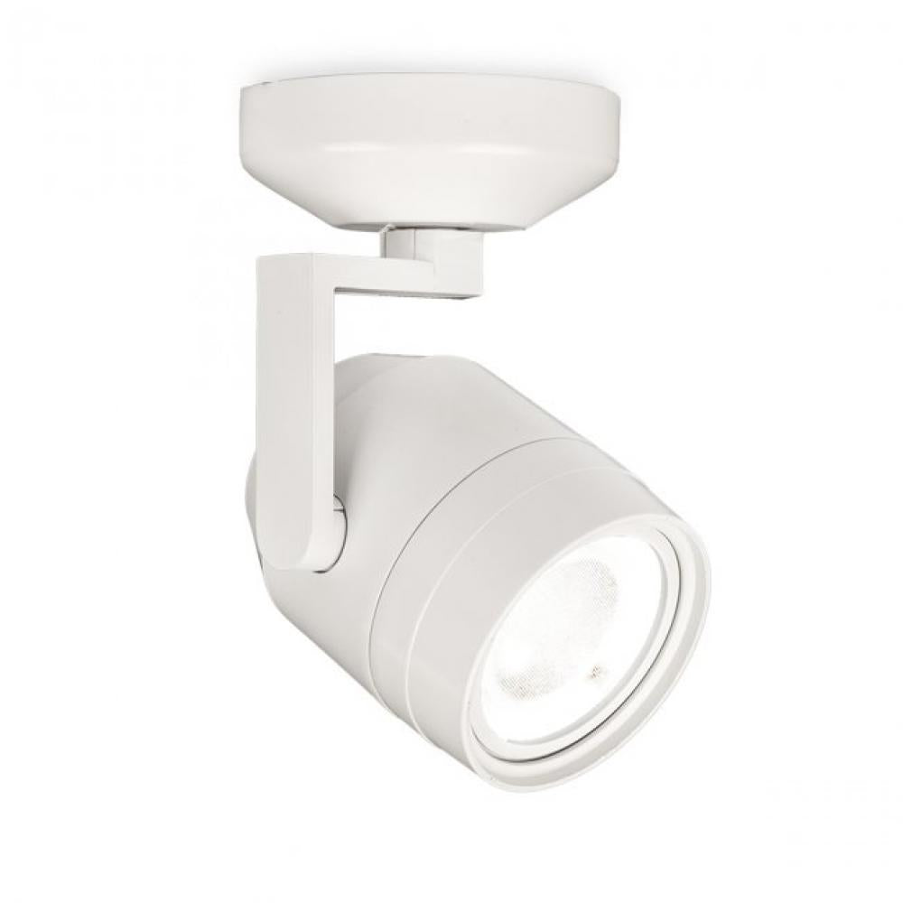 Paloma Spot Light