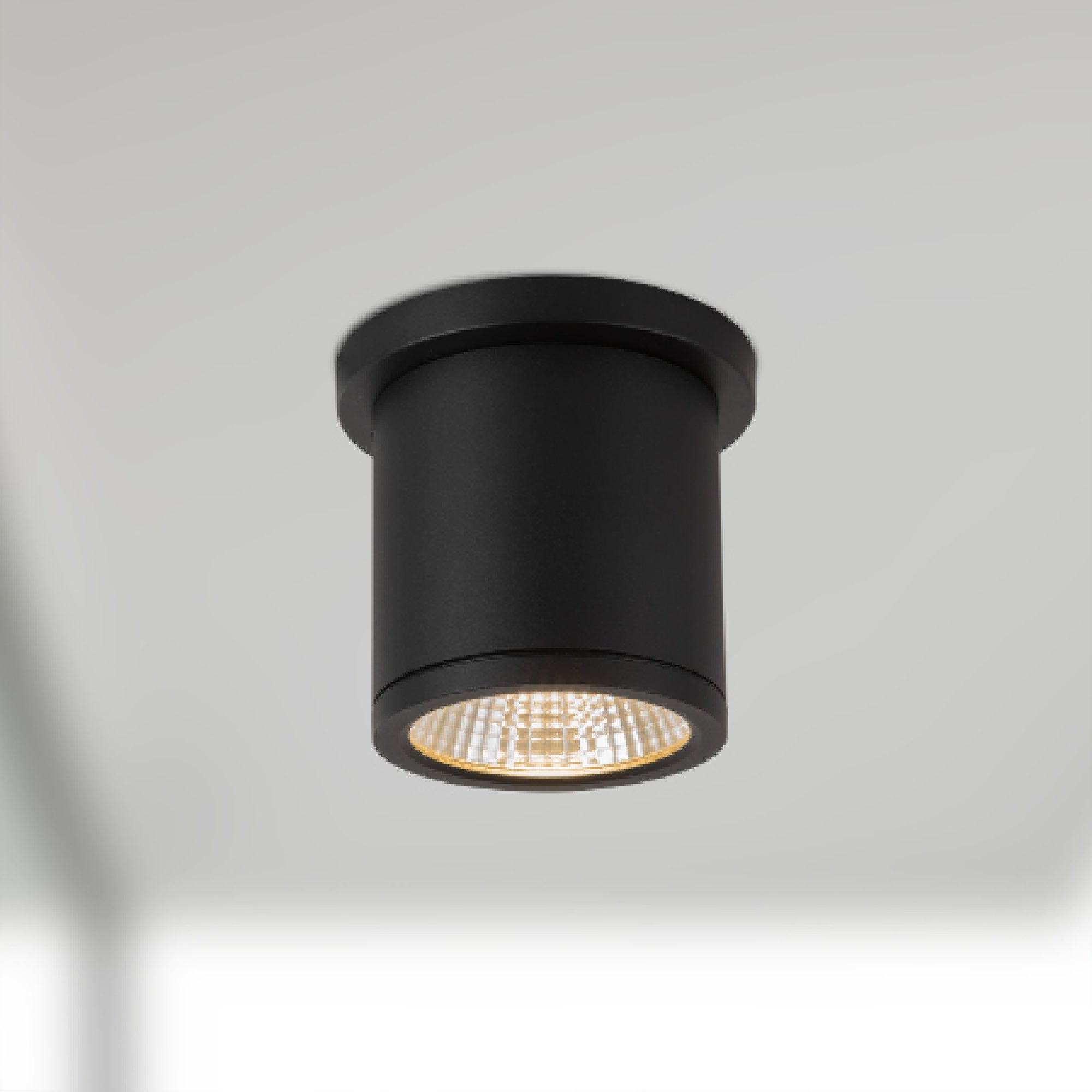 Nordic 4" (3" Dia.) LED Exterior Ceiling