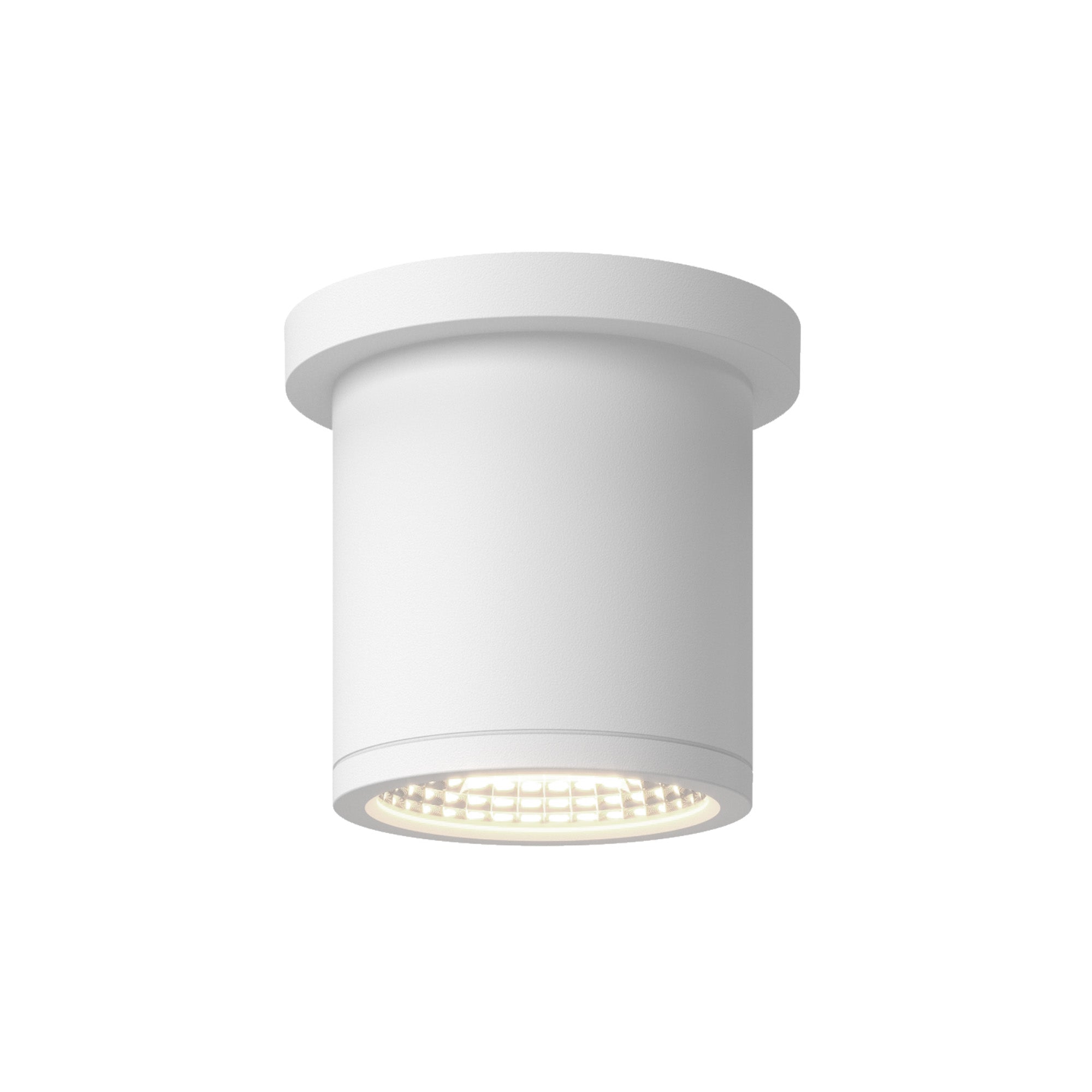 Nordic 4" (3" Dia.) LED Exterior Ceiling