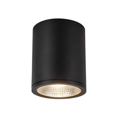Nordic 6" (5" Dia.) LED Exterior Ceiling