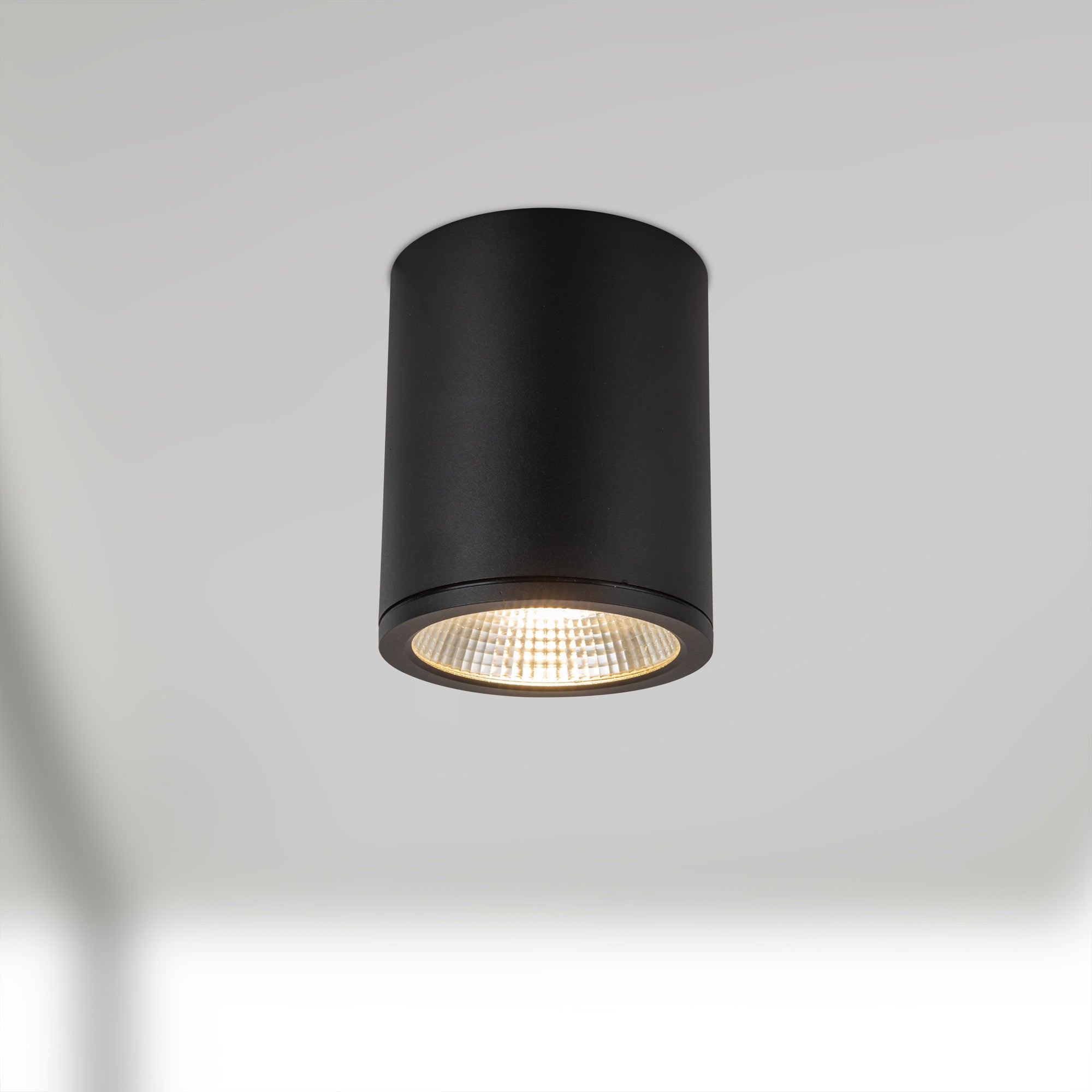 Nordic 6" (5" Dia.) LED Exterior Ceiling