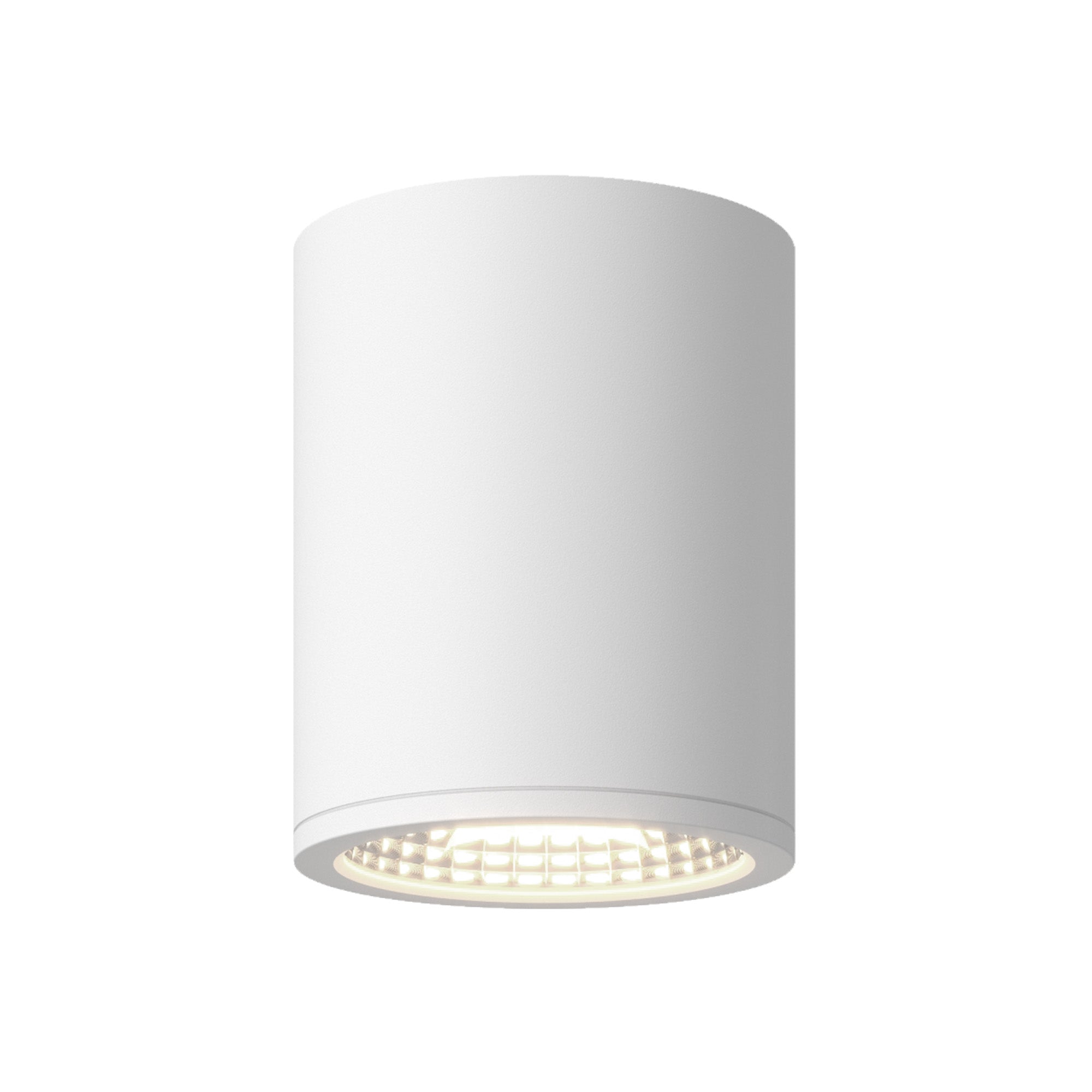 Nordic 6" (5" Dia.) LED Exterior Ceiling