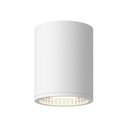 Nordic 6" (5" Dia.) LED Exterior Ceiling