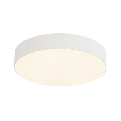 Rynn 5" dimmable LED Flush Mount