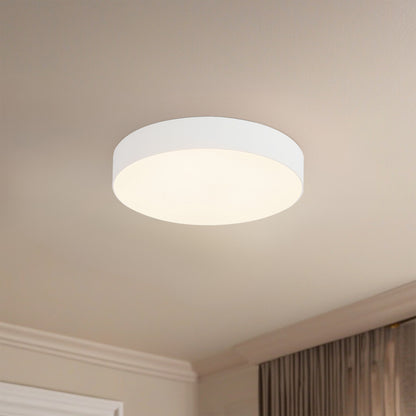 Rynn 5" dimmable LED Flush Mount
