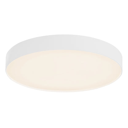 Rynn 7" dimmable LED Flush Mount