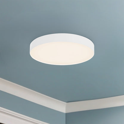 Rynn 7" dimmable LED Flush Mount