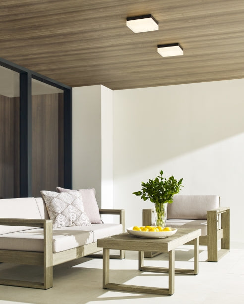 Boxie Outdoor Wall/Flush Mount