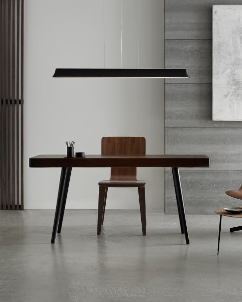 Zhane Linear Suspension
