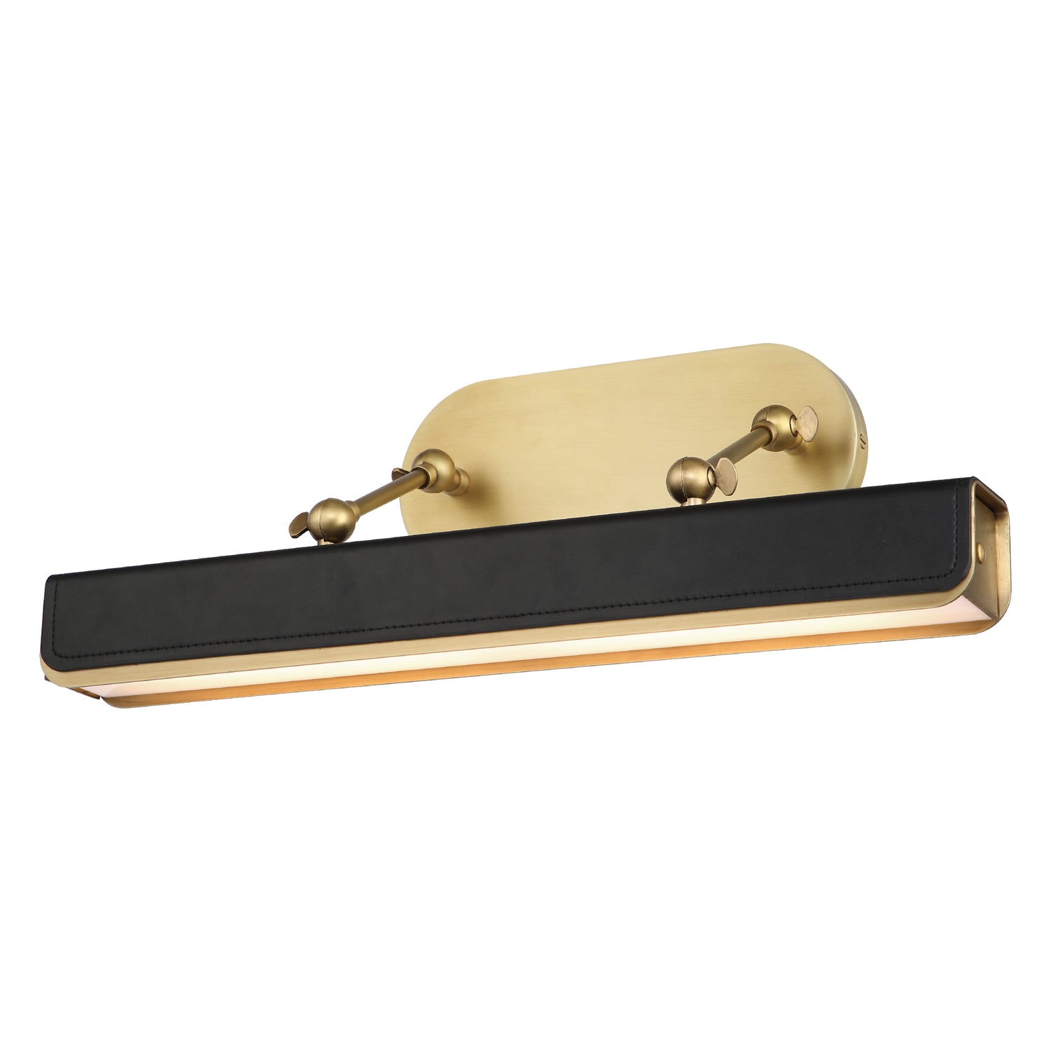 Valise Picture Picture Light
