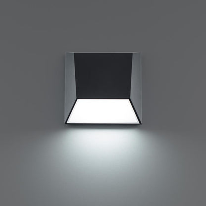 Atlantis Wall Light