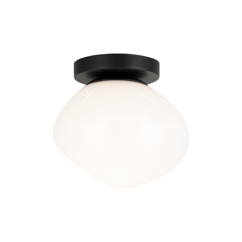 Melotte Wall Sconce/Ceiling Mount
