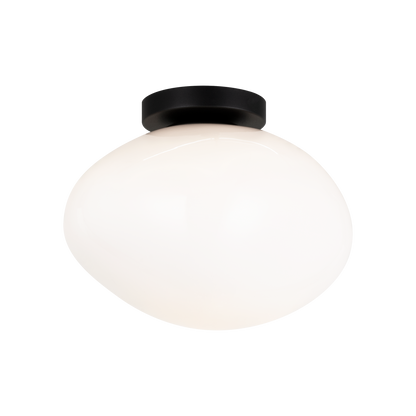 Melotte Wall Sconce/Ceiling Mount