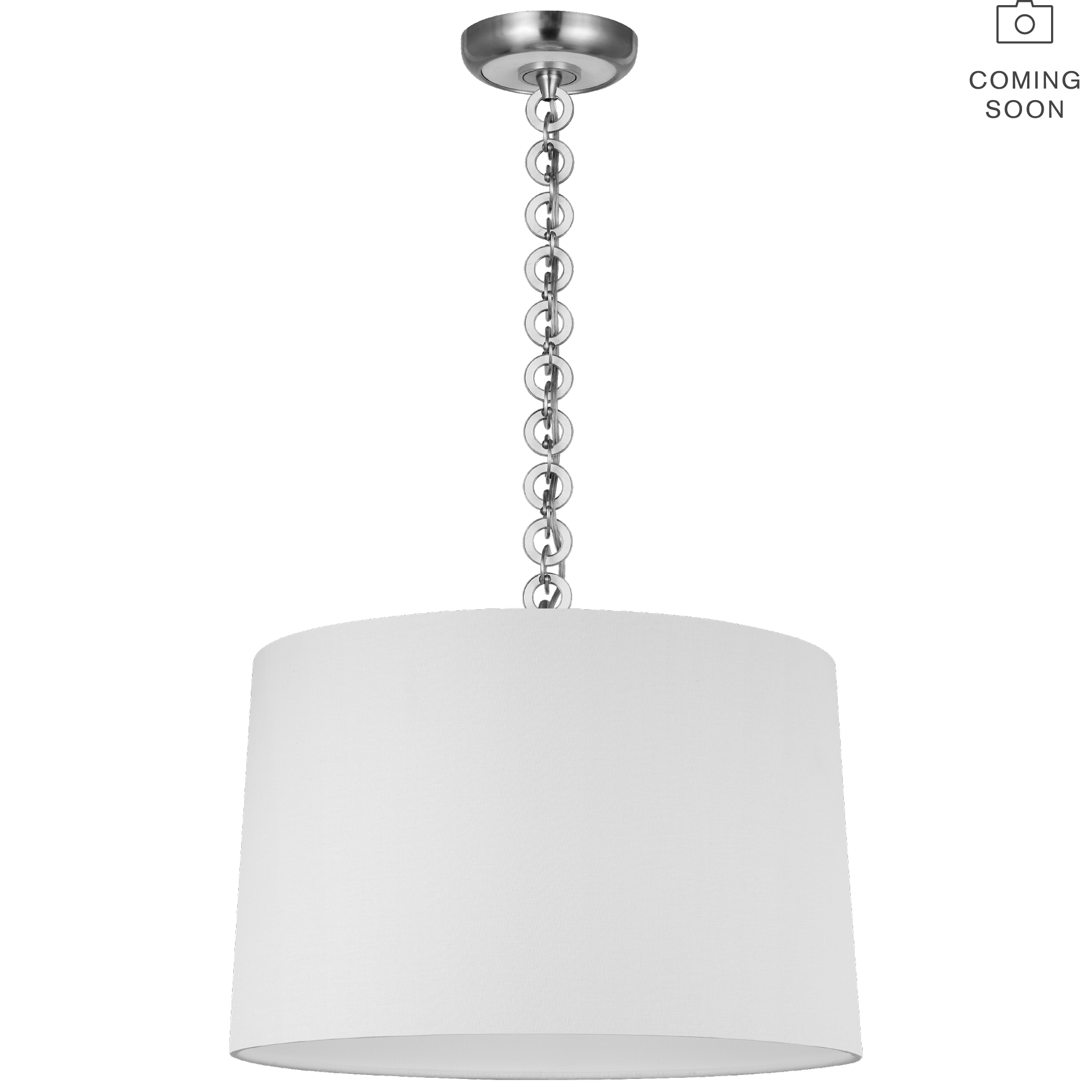 Evelyn 19" Hanging Shade