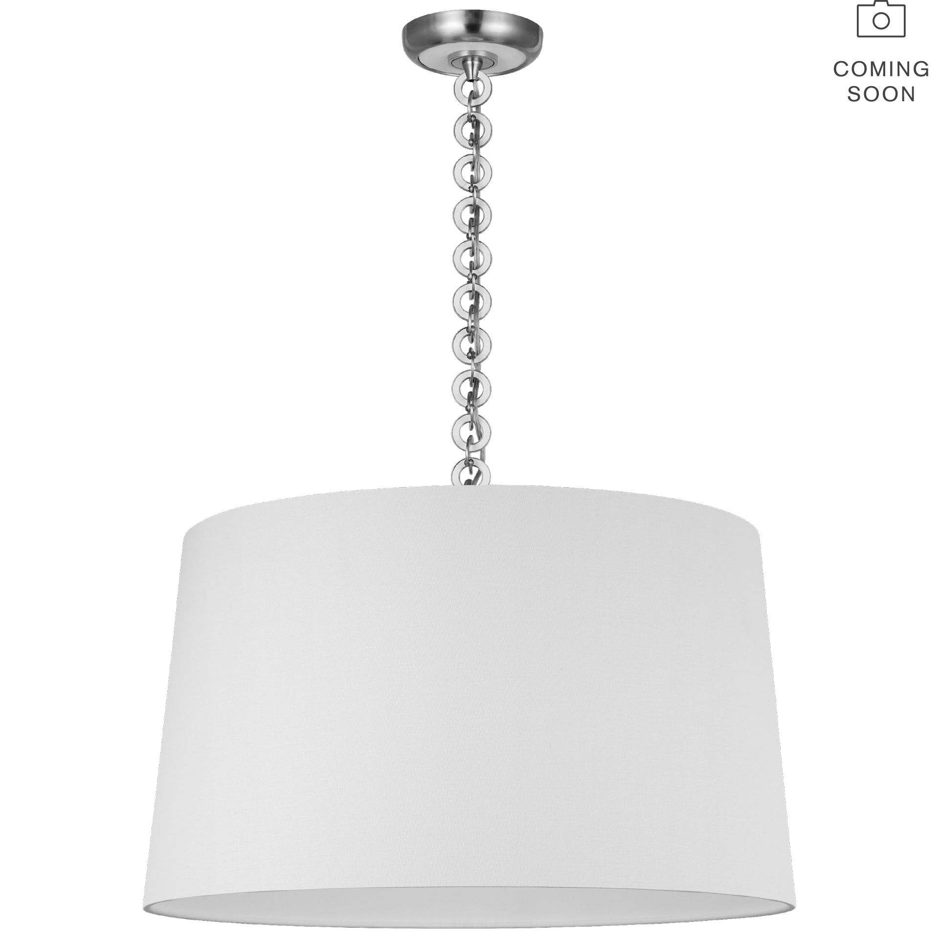 Evelyn 25" Hanging Shade